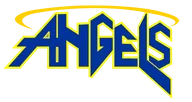 Angels Auto & Towing Inc logo