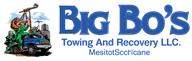 Big Bo's Towing and Recovery LLC logo