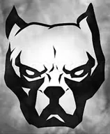 Bulldog Recovery logo