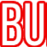 Bully Dawgs Towing logo