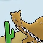 Camel Tow Inc logo