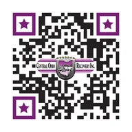 Central Ohio Recovery Inc DBA Tracer Towing logo