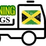 Coolrunnings towing logo