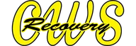 CWS Recovery logo