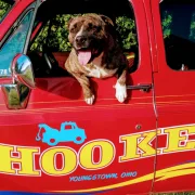 Hooker's Towing of Youngstown logo