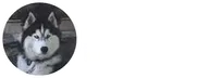 Husky Towing logo