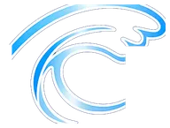 La Costa Towing logo