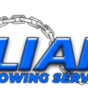 Lian Towing Service logo