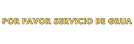 Por favor Servicio de Grua logo